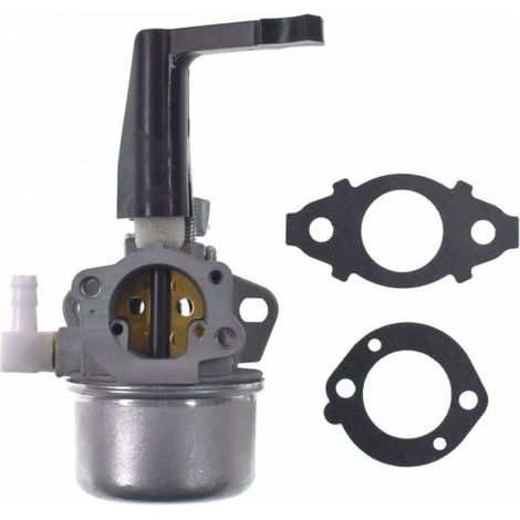 1 Carburateur, Kit de joints, Pour moteur horizontal 110402 110412, Pièce de rechange (1/5)