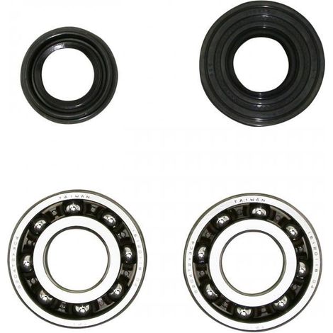 lager oder dichtung spi motor selection p2r (motorisiert) für (1/2)
