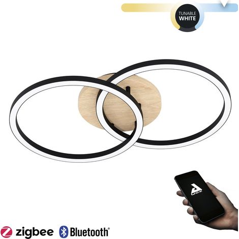 Plafoniera Moderna Lomaltas-Z Acciaio Nero 4 Luci Led Integrato 8W Ip20 (1/4)