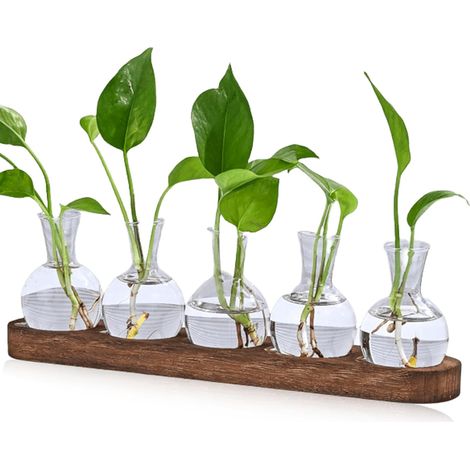 Lot de 5 mini vases de propagation vintage avec plateau en bois marron - Pour décoration de table - Mini vases hydroponiques - Décoration pour fleurs, plantes, boutures, herbes (1/5)