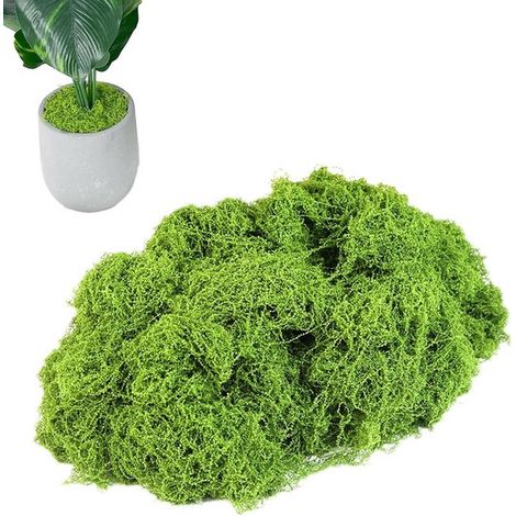 Muschio artificiale per piante da interno, decorazione creativa per terrari, giardini e progetti artistici (100 g) (1/5)