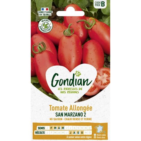 Gondian - Tomate Allongée San Marzano (1/2)