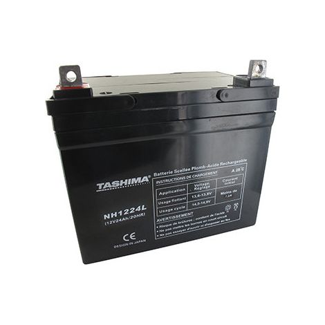 Batteria Tashima AGM 100% impermeabile 12V, 24A per trattore. L: 195, P: 130, H: 180, + a sinistra. - Batteria da mettere in acido Ava