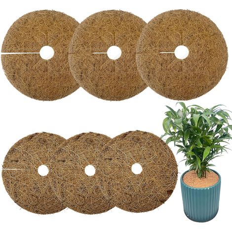 Protection en Noix de Coco pour Plantes en Pot, 15cm/20cm disques Fibre de Coco Protection Contre Le Gel hivernale, Lot de 6 Tapis en Coco Plantes (1/5)