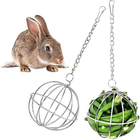 2 x Hamster Hay Ball, Animal Hay Ball, for Feeding Rabbits, Guinea Pigs, Hamsters (1/5)