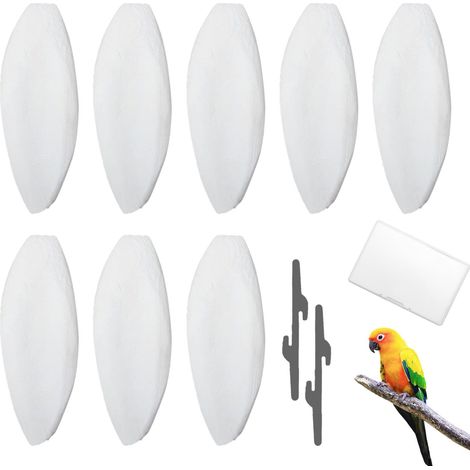 Os de Seiche pour Oiseaux - Lot de 8 Os de Seiche Naturels avec Supports pour Cage, Bloc de Calcium pour Perroquets et Canaris (1/5)