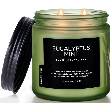 Duftkerze Eukalyptus Minze 330g 70h brennend 2 Docht Glas Sojawachs (1/5)