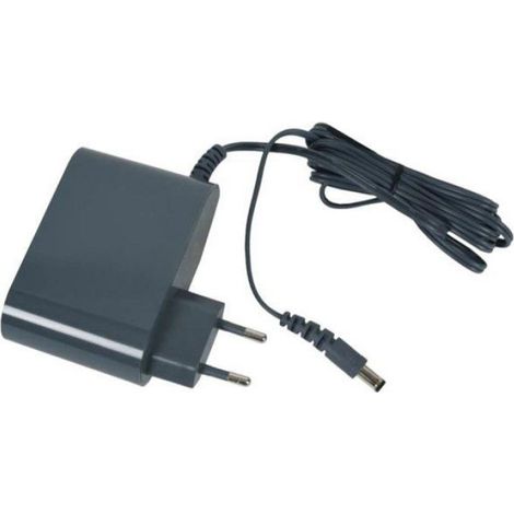 Chargeur - Aspirateur - 24 V - 3 3 A - Entrée 230 V Ac - Rechargeable - Pour Modèles À Batterie Intégrée - ×1