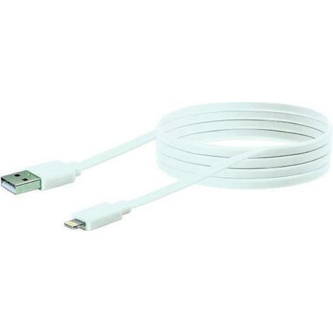 Cable de arga Apple (1/2)