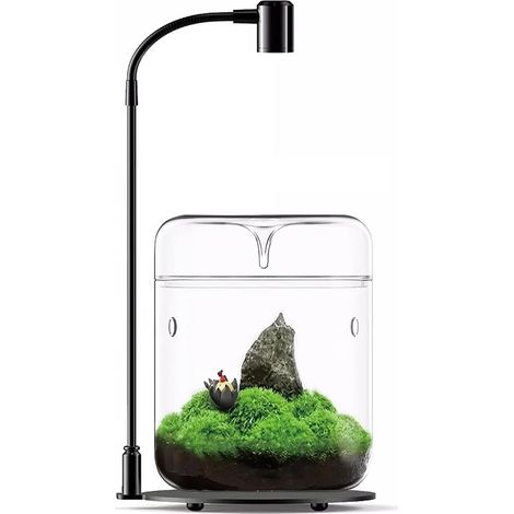 Terrarium en verre 12 x 17,5 cm pour plantes succulentes Plantes aériennes Fougère Mousse Micro paysage Vase pour la décoration de la maison Bureau Plateau de table Conteneur avec couvercle intérieur (1/5)