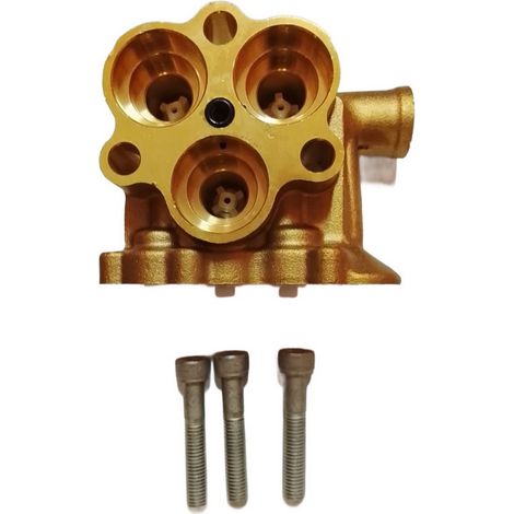 Cabeza Bomba Completa compatible con hidrolavadora Dgpw3100H K
