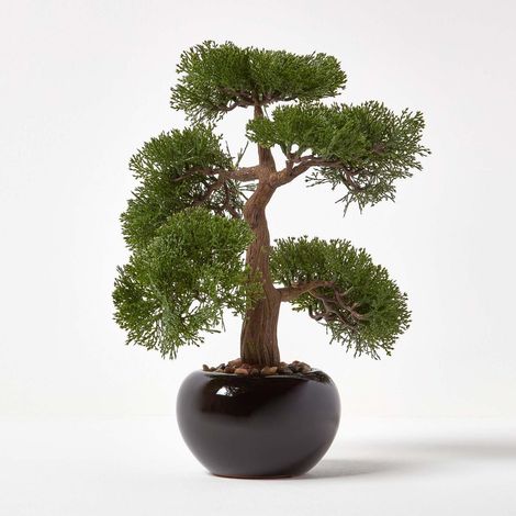 HOMESCAPES Artificial Bonsai Tree in Black Ceramic Pot - Green (1/5)