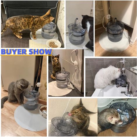 Filtres de fontaine d'eau pour chat, distributeur automatique de bols à boire pour grands chiens et animaux de compagnie, filtre de remplacement, éponges en mousse (1/5)