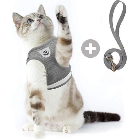 Sangle de poitrine de voyage pour chat d'été Gilet réglable avec cordon de serrage Style réfléchissant Harnais confortable et respirant pour chat avec cordon anti-casse (Gris, XS)