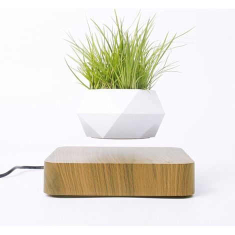 Vaso per piante bonsai a levitazione magnetica che vola piantina sospesa in aria (1/5)