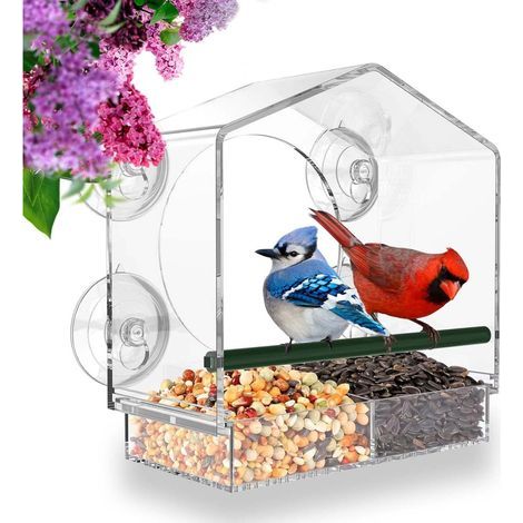 Mangeoire Pour Oiseaux - Fixation Sur Vitre Par Ventouse - Bac Amovible Avec Orifices De Drainage - Dimensions 20 X 21 Cm - Transparent - 1 Pièce (1/5)