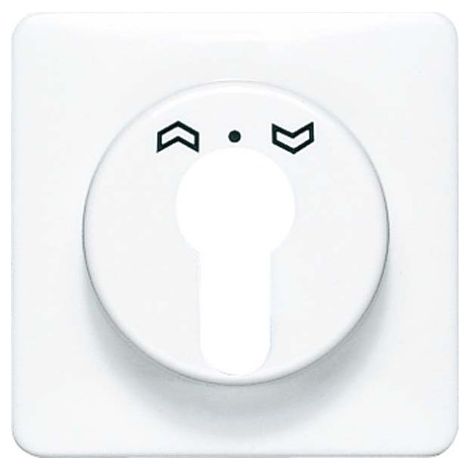 Jung Tapa para interruptor de llave con protección antirrobo 1 vía, termoplástico, serie CD, blanco alpino CD 528 WW