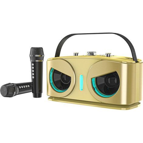 SD306plus Owl Haut-Parleur Puissant et Portable avec Deux Micros Son HIFI Idéal pour le Karaoké et les Fêtes en Plein Air C (1/2)