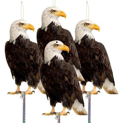 Anti-Pigeon Deterrent for Balconies, Bird Scarer, Pigeon Repellent, Pigeon Deterrent, Owl with Reflective Strip, Anti-Crow/Anti-Pigeon Deterrent for Garden/Garden, Set of 4 Bird Scarecrows - Hawk 4 ft