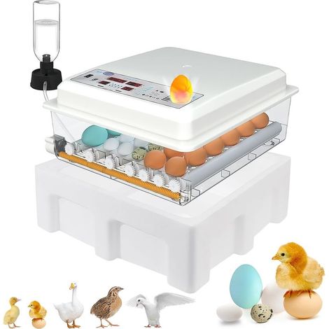 Couveuse Œuf Automatique 24-36 Œufs, Retournement Humidification, Mire-Œuf, 4 Modes Poules Canards Oies Pigeons (1/5)