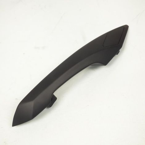Beifahrergriff rechts für Peugeot 500 Satelis 769779N1, schwarz, (1/4)