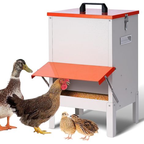 Mangeoire Automatique pour Poules et Volailles 13,6 kg Mangeoire Anti-Nuisible et Anti-Pluie en Métal pour Basse-Cour Poulailler Canards Oies (1/5)