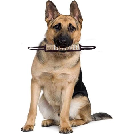 Hunde-Beißkissen – Hundespielzeug – Hundetraining – Hundespielzeug – Für alle Hunde – Langlebig – Hundesport – Beißring für Hunde – Hundekauspielzeug (1/5)