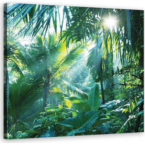 Tableau sur toile Forêt tropicale nature 40x40 (1/5)