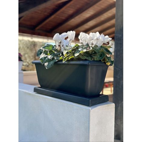 Jardinière pour Plantes rectangulaire 51 x 22 x 23 cm avec Soucoupe fabriquée en Italie. (1/5)