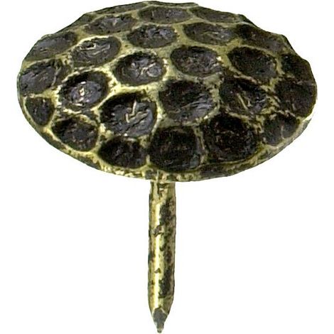 Ziernägel Ø 22,0 x 12,5 mm, 12 Stück Ziernägel (1/2)