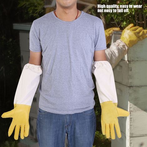 Paar langärmelige, elastische Imkerhandschuhe, ideal für Imkeranfänger, Größe XL (1/5)