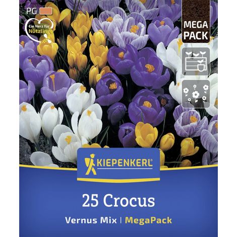 Kiepenkerl Herbstblumenzwiebel Mega-Pack Gartenkrokuse 25 Stück (1/2)