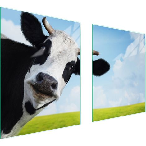 GLASSCHUTZPLATTE FÜR HERD 85x52 COW (1/5)