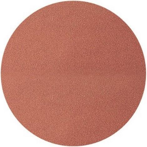DISCO AUTOADHESIVO G240 125 (BL-5)2215100 (1/2)