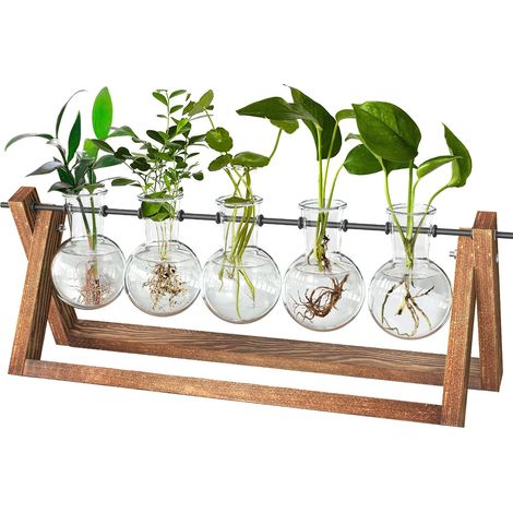 Station De Propagation Vase en Verre,Terrarium pour Plantes Hydroponique,Tube À Essai Fleurs Hydroculture avec Bois Support intérieur Décoration Maison Table Bureau Patio(Vases À 5 Ampoules) (1/5)
