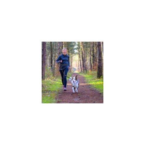 Joggingleine avec ceinture Ventrale Freihandleine avec l'Étirement et la Ruckdämpfung pour les moyennes et les Chiens de grande taille les Mains Libres pour la course à Vélo Poussette Sport (1/4)