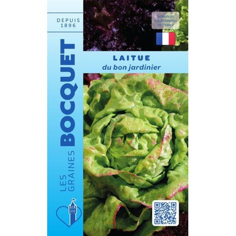 Laitue d'été du bon jardinier - 4g