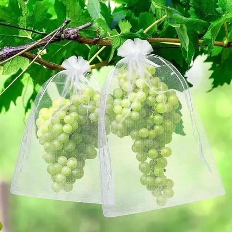 Lose mit 10 Säcken zum Schutz beim Versand mit Cordon de Serrage, Anti-Insekten, Arbores Fruitiers, Pflanzen und Jardins (20 x 30 cm) (1/4)