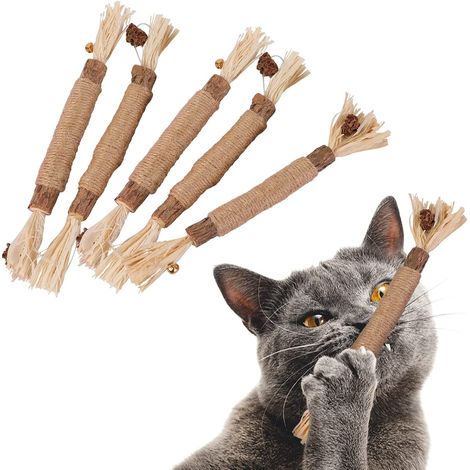 Bâtonnets à mâcher en herbe pour chat, 5 pièces, pour nettoyer les dents de votre chat, Silvervine Indo (1/5)