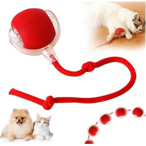 Balle interactive pour chat – Jouet électrique rechargeable par USB – 3 modes de fonctionnement – Rotation 360° – Pour chats et chiens (1/5)