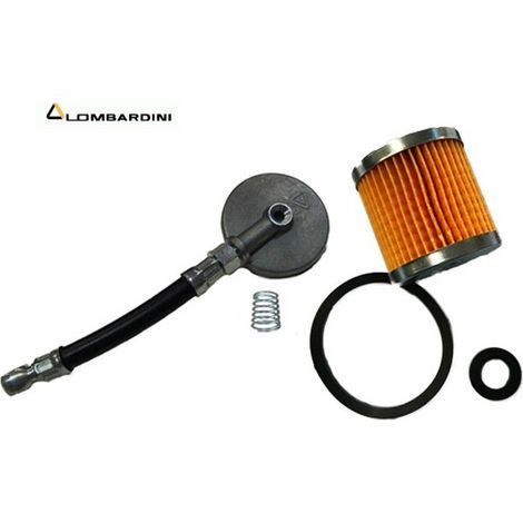 Coperchio Filtro Completo Motore Lombar Dini 3ld510-4ld-7ld-8ld-9ld-10ld-12ld