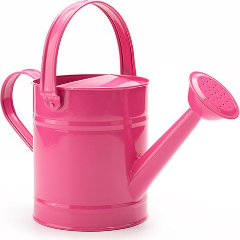 Arrosoir en métal de 1,5 l, Art en fer, bec Long, eau pour jardin extérieur, balcon, plantes, rose (1/5)