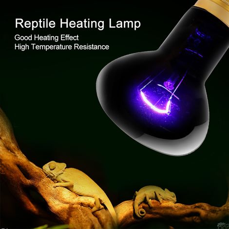 Ampoule chauffante E27 à effet clair de lune simulé pour reptiles et amphibiens, 110 V, 100 W (1/5)