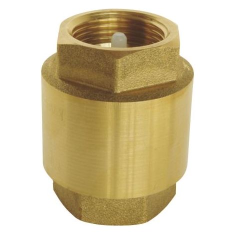 Clapet anti-retour laiton FF1''(26/34) Pn12 Le lot de 10 (1/2)