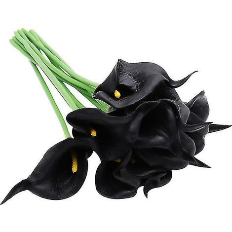 Bouquet de 10 arums (1/3)