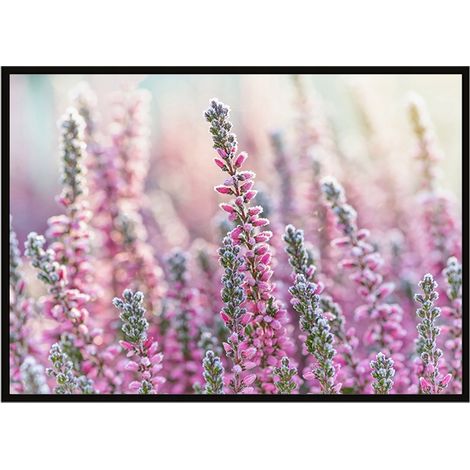 Bild Poster im Rahmen 53x73 cm Wiese P1638 (1/3)