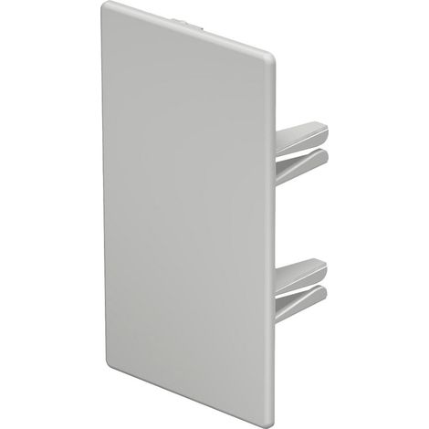 OBO Bettermann Vertr Endstück 60x110mm WDK HE60110RW