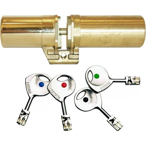Fichet – Cylindre de serrure 787 doré 3 monobloc – 10 clés – Protection renforcée – Pour portes en bois dur – Technologie Fortissime T