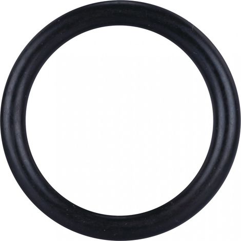 O-Ring Durchmesser 25 mm / 10 Stück - Capvert