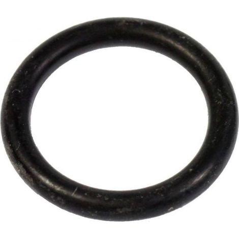 Guarnizione del tappo - Ferro da stiro, Ferro a vapore - LAURASTAR - 4373511